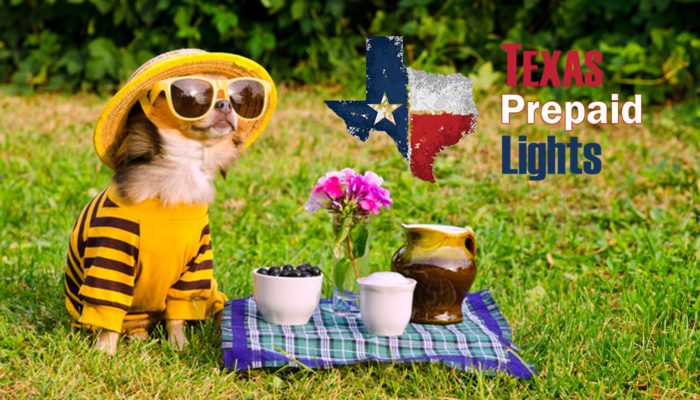 Prepaid Electricity in 1 to 2 hours